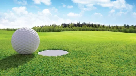 Taylor, Petta win Sinking Valley golf title